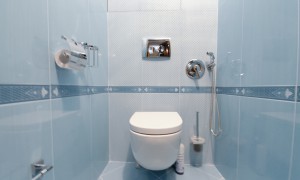 Ремонт раздельной ванной комнаты и туалета с итальянской плиткой