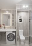 Дизайн ванной комнаты, Государев Дом, разделение перегородкой туалета и раковины
