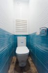 Туалет, сине-белая плитка Керамин Дюна, ревизионный деревянный люк