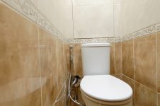 Унитаз в туалете с гигиеническим душем