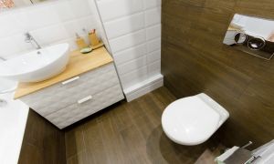 Ремонт ванной комнаты (совмещаем с туалетом), комбинируем две коллекции плитки